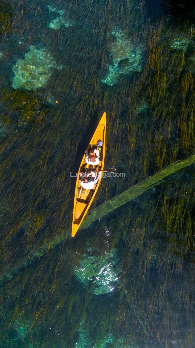 Sepasang kekasih dengan perahu di Danau dengan air jernih sampai terlihat tumbuhan bawah air