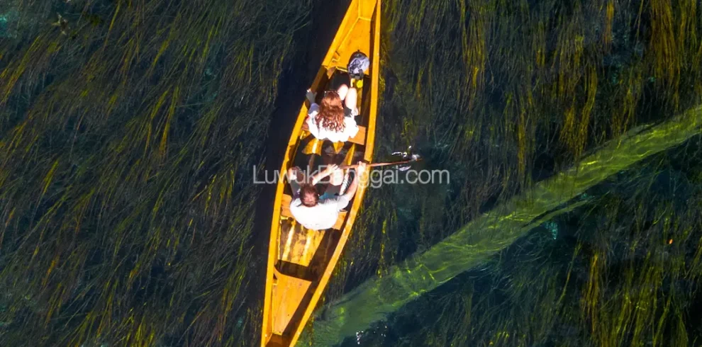 Sepasang kekasih dengan perahu di Danau dengan air jernih sampai terlihat tumbuhan bawah air