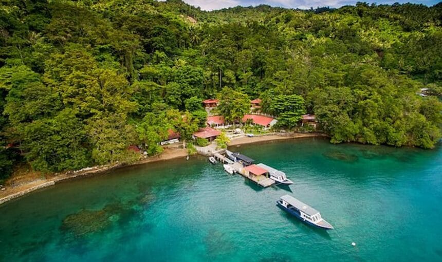 Why Visit Sulawesi, Indonesia? (2025 Travel Guide)