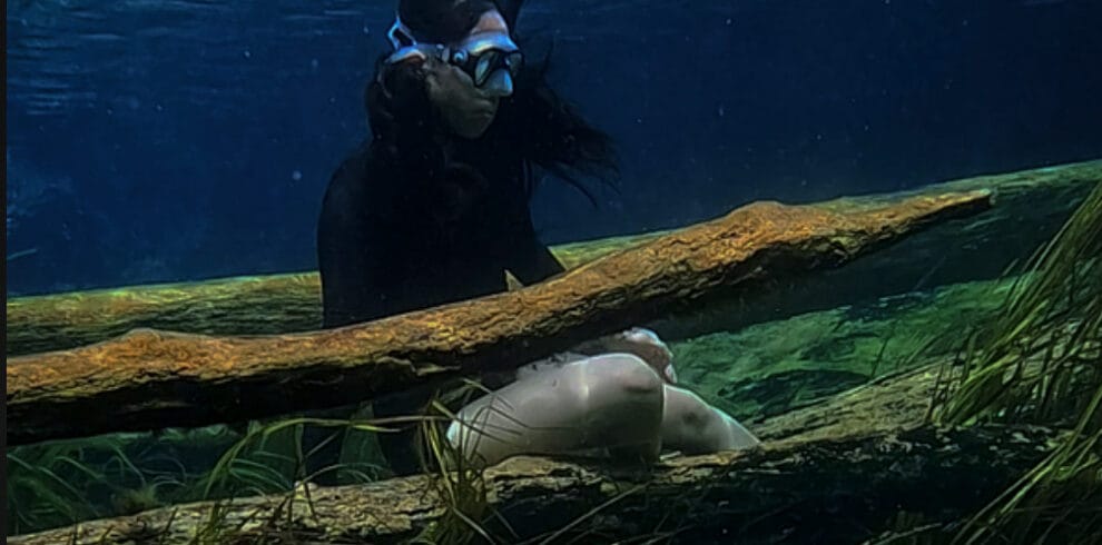 Snorkeling in waters of Banggai with a clear, spring-fed body of water with abundant underwater plant life and submerged logs