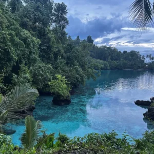 Turquoise cove framed by jungle at dusk in the Banggai Islands, Central Sulawesi
