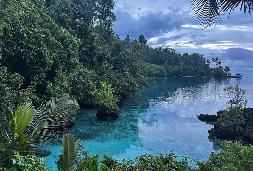 Turquoise cove framed by jungle at dusk in the Banggai Islands, Central Sulawesi
