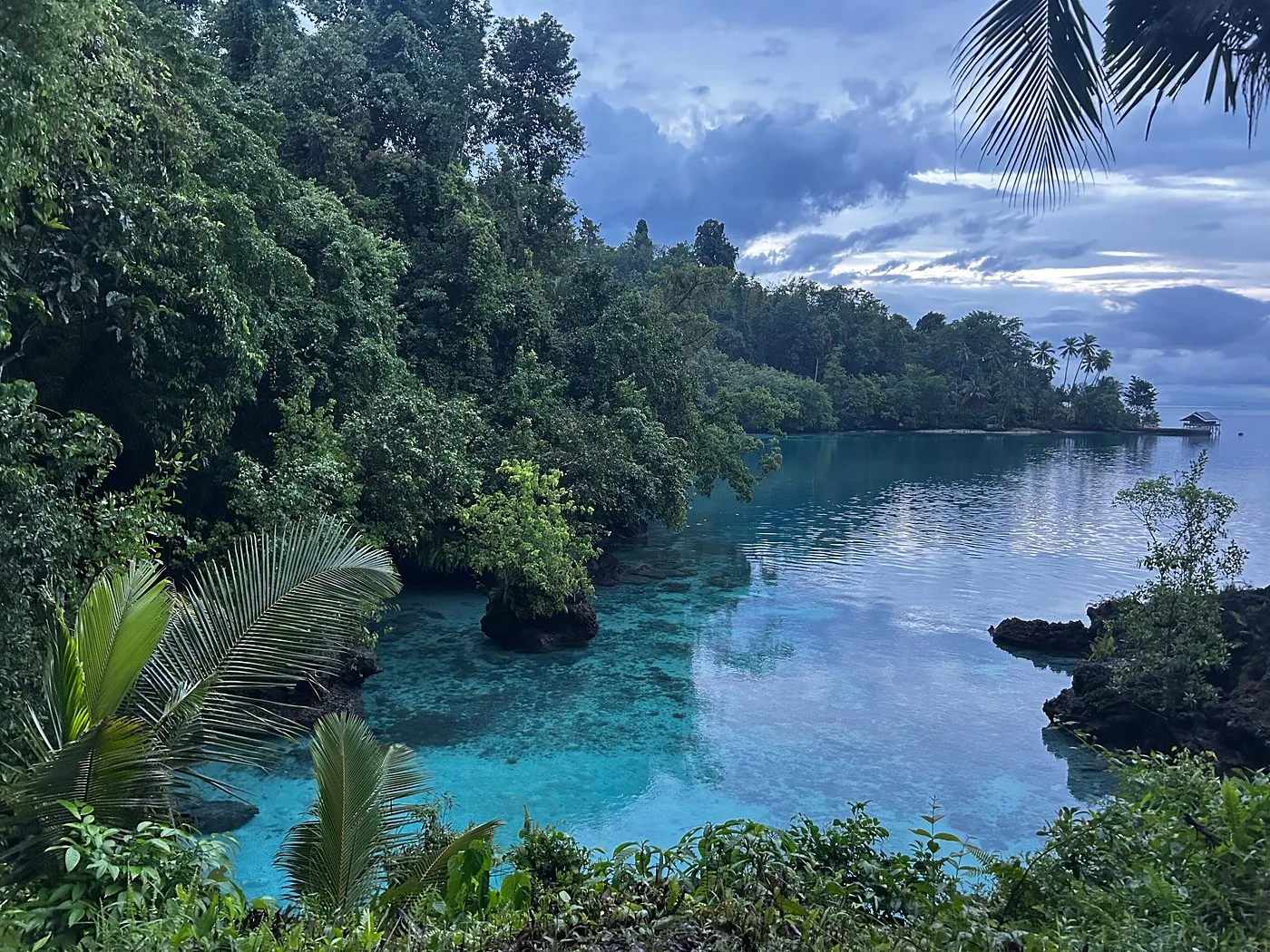 Turquoise cove framed by jungle at dusk in the Banggai Islands, Central Sulawesi