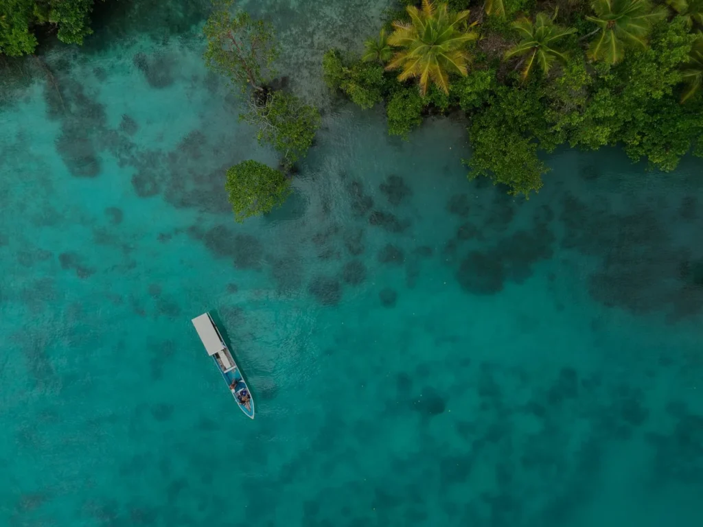 Aerial view of a wooden boat anchored over clear turquoise shallows beside palms in the Banggai Islands