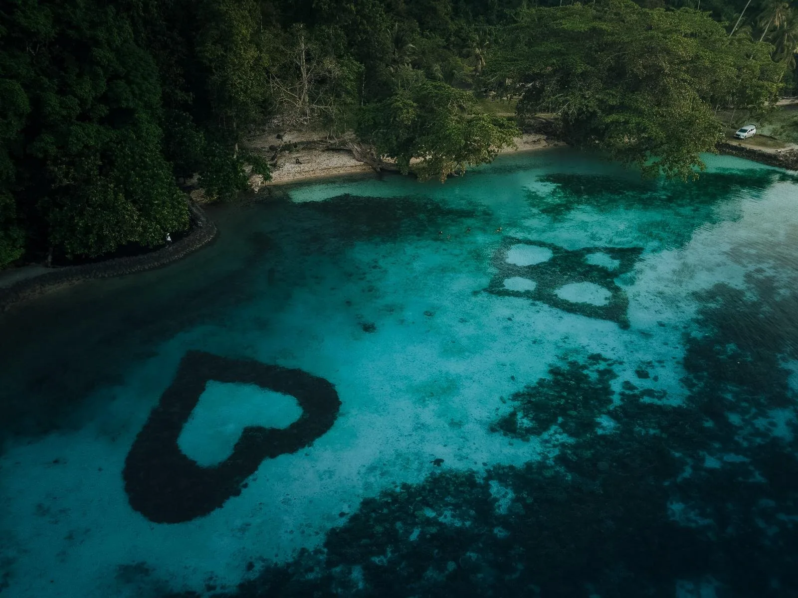 Hartvormig stuk donker koraal in het turquoise ondiepe water bij het strand van Teduang op Peleng