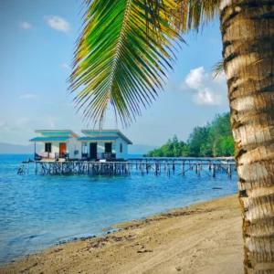 Overwater bungalows on stilts beside a white sand beach, accommodation in the Banggai Islands