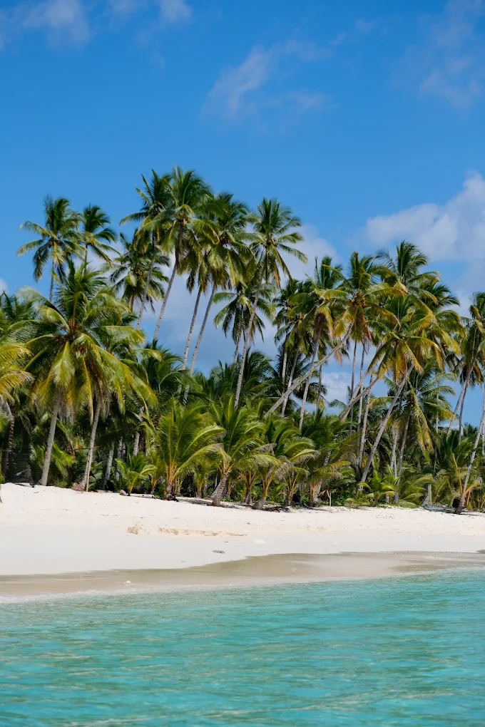 Pantai pasir putih dengan barisan kelapa dan air jernih di Kepulauan Banggai