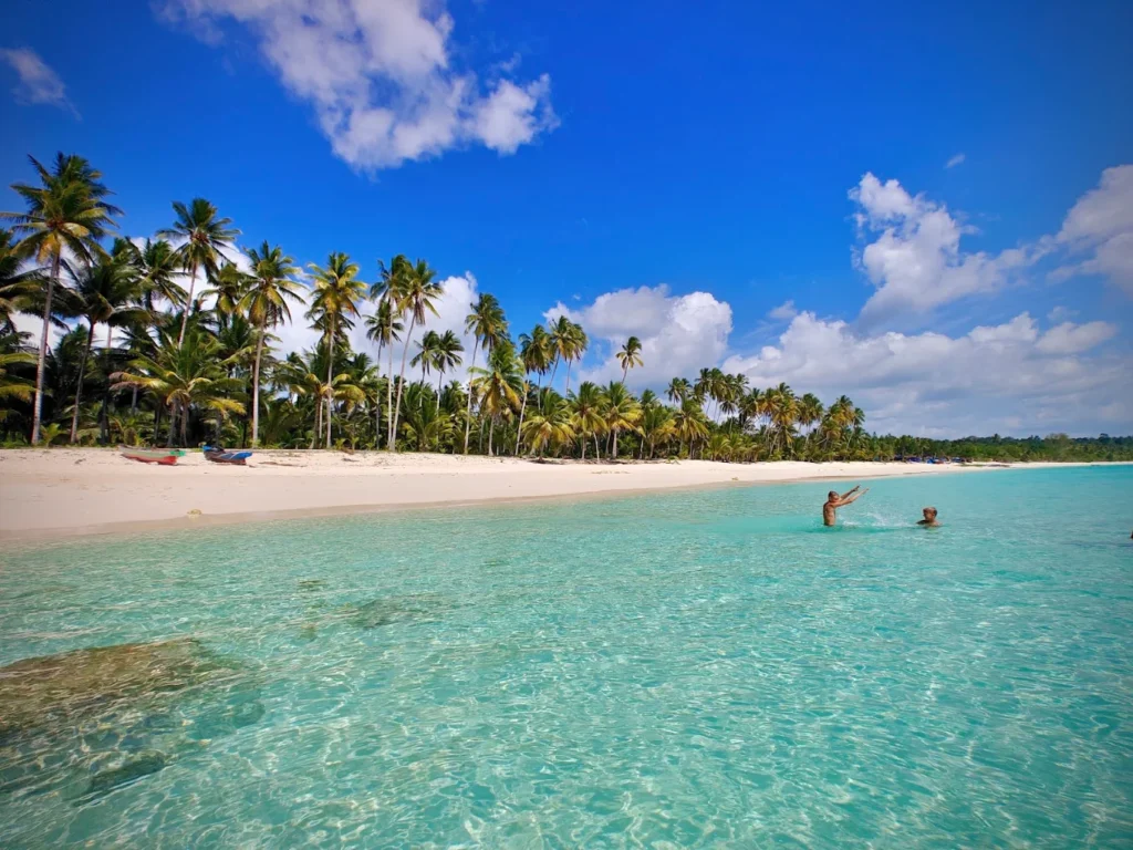 Two people swimming in clear turquoise shallows off a palm fringed beach in the Banggai Islands
