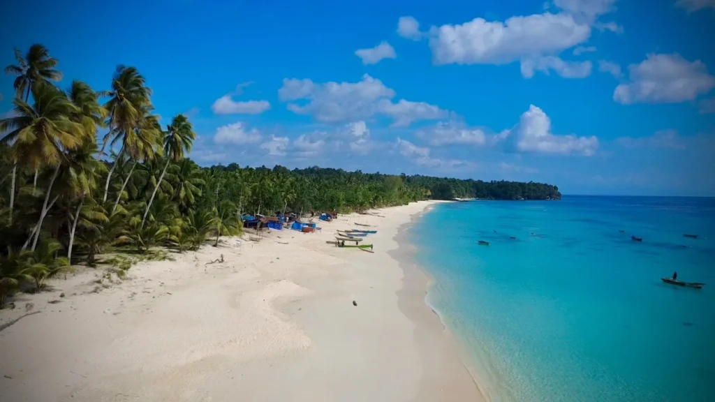 Aerial view of a long white sand beach lined with palms and fishing boats in the Banggai Islands