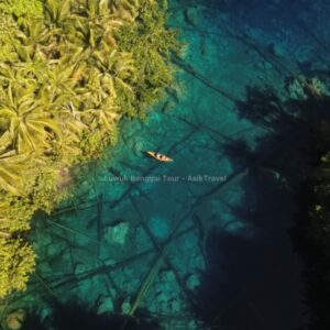 Perahu kayu kecil berisi dua orang di atas danau jernih penuh tanaman air
