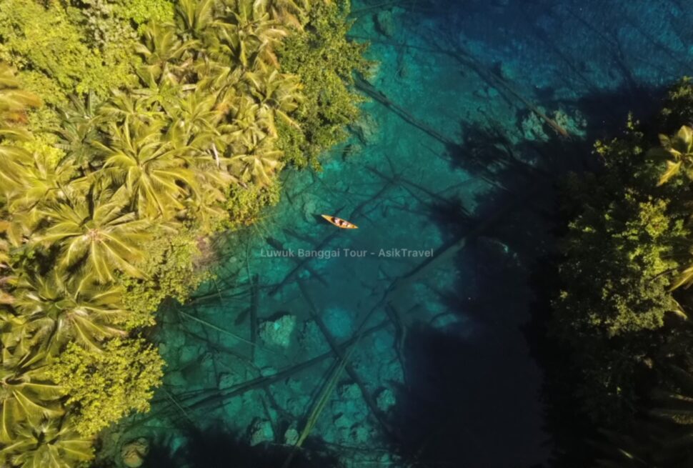 Perahu kayu kecil berisi dua orang di atas danau jernih penuh tanaman air