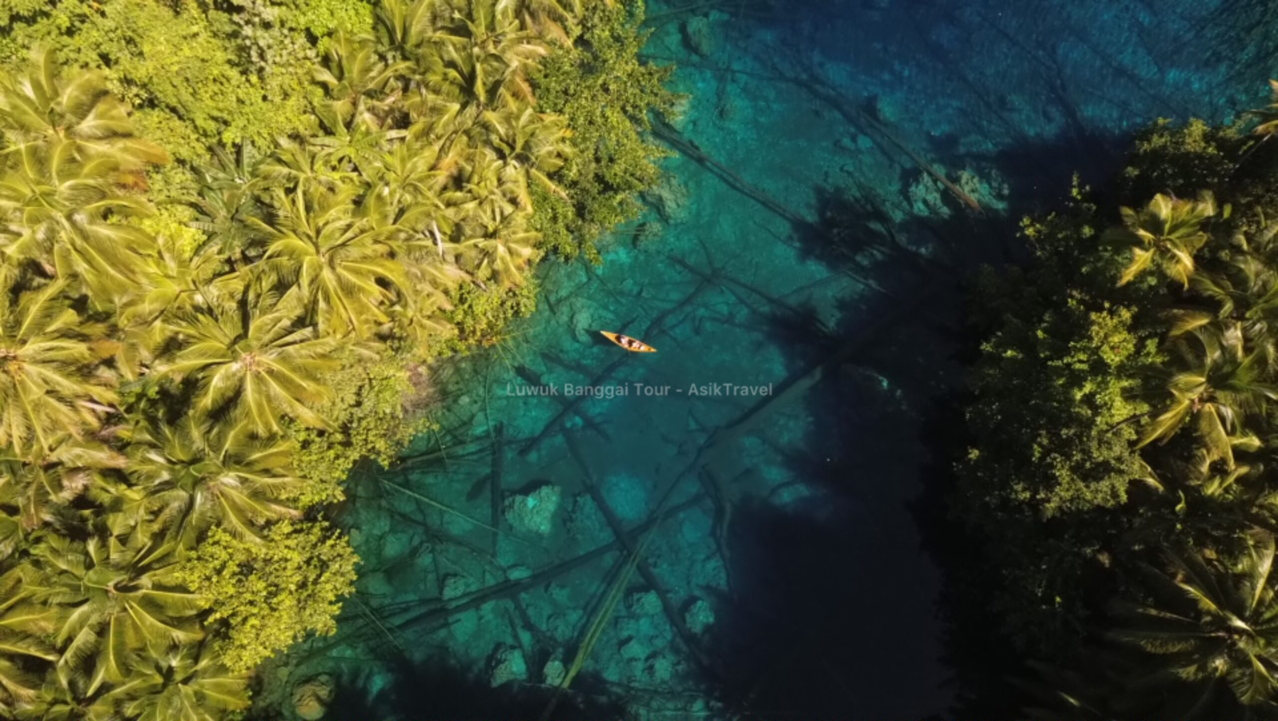 Perahu kayu kecil berisi dua orang di atas danau jernih penuh tanaman air