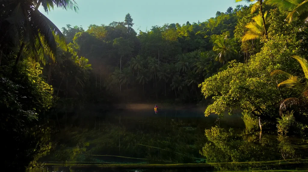 Paddler exploring Paisu Pok Lake surrounded by dense tropical jungle canopy with dappled sunlight in Banggai Islands crater lake Sulawesi