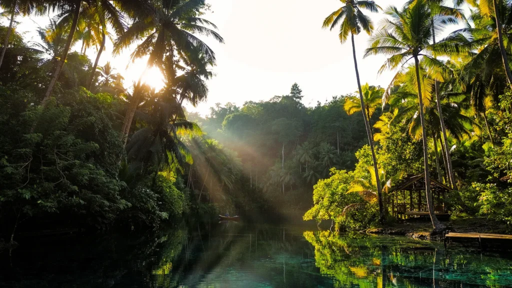Paisu Pok Lake showing crystal clear turquoise water with visible submerged trees and lake floor in Banggai Islands Sulawesi