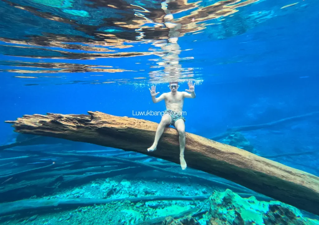 Seorang pria santai menyelam di bawah Danau berair biru