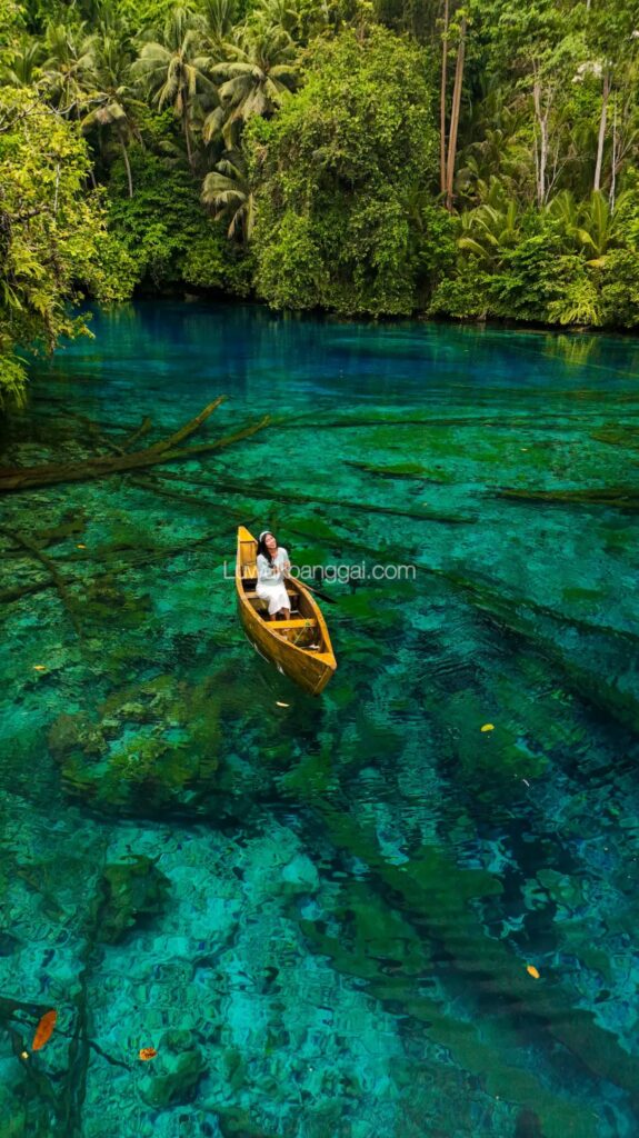 Seorang wisatawan menaiki perahu kuning di atas air Danau Paisupok yang sangat jernih berwarna biru toska dengan pemandangan kayu tenggelam di dasarnya.