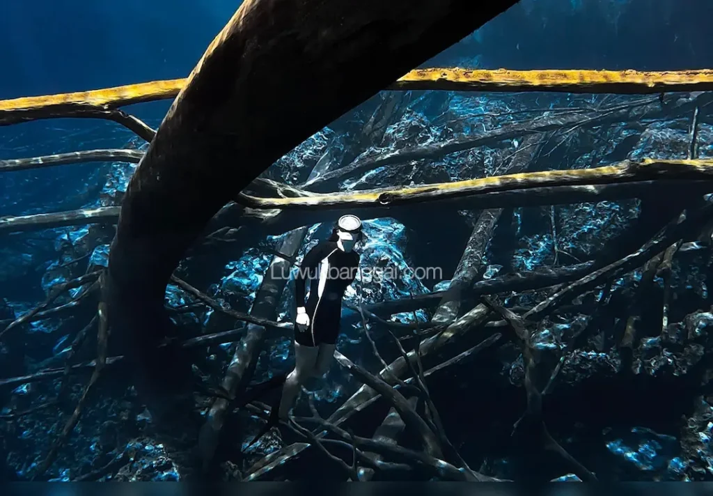 Seorang wanita menyatu dengan keindahan bawah Danau Paisupok