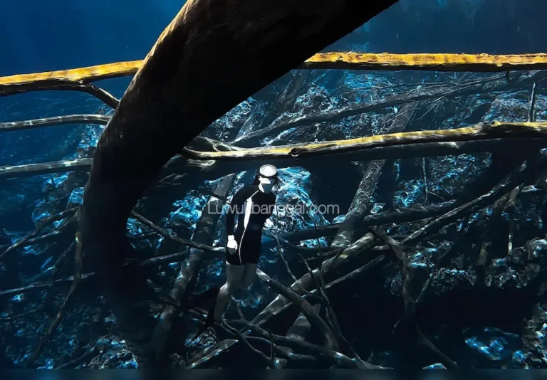 Seorang wanita menyatu dengan keindahan bawah Danau Paisupok