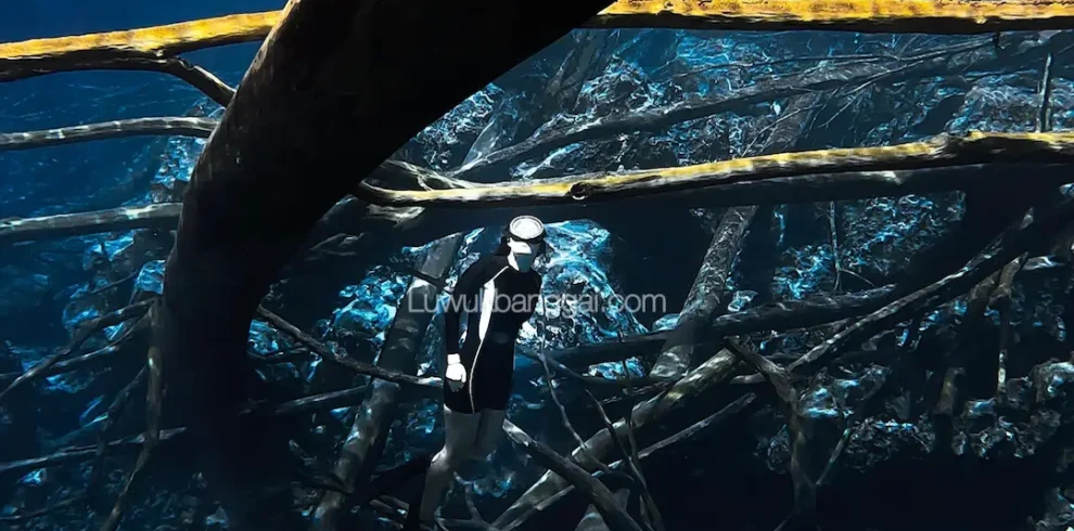 Seorang wanita menyatu dengan keindahan bawah Danau Paisupok