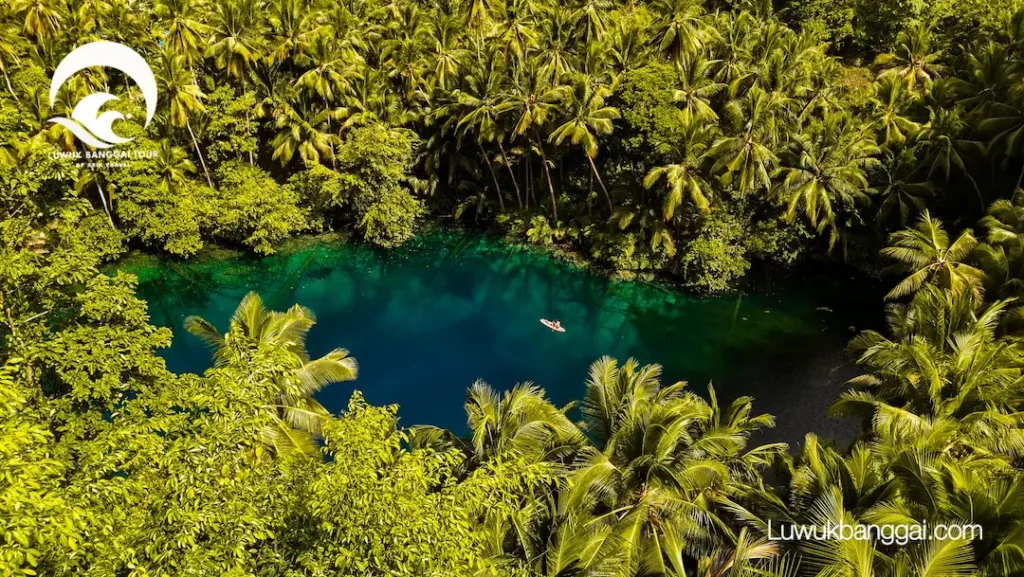 Danau Paisupok di kelilingi pohon kelapa