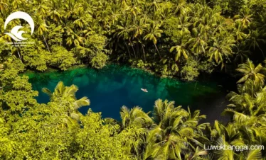 Danau Paisupok di kelilingi pohon kelapa