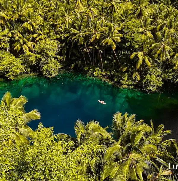 Danau Paisupok di kelilingi pohon kelapa