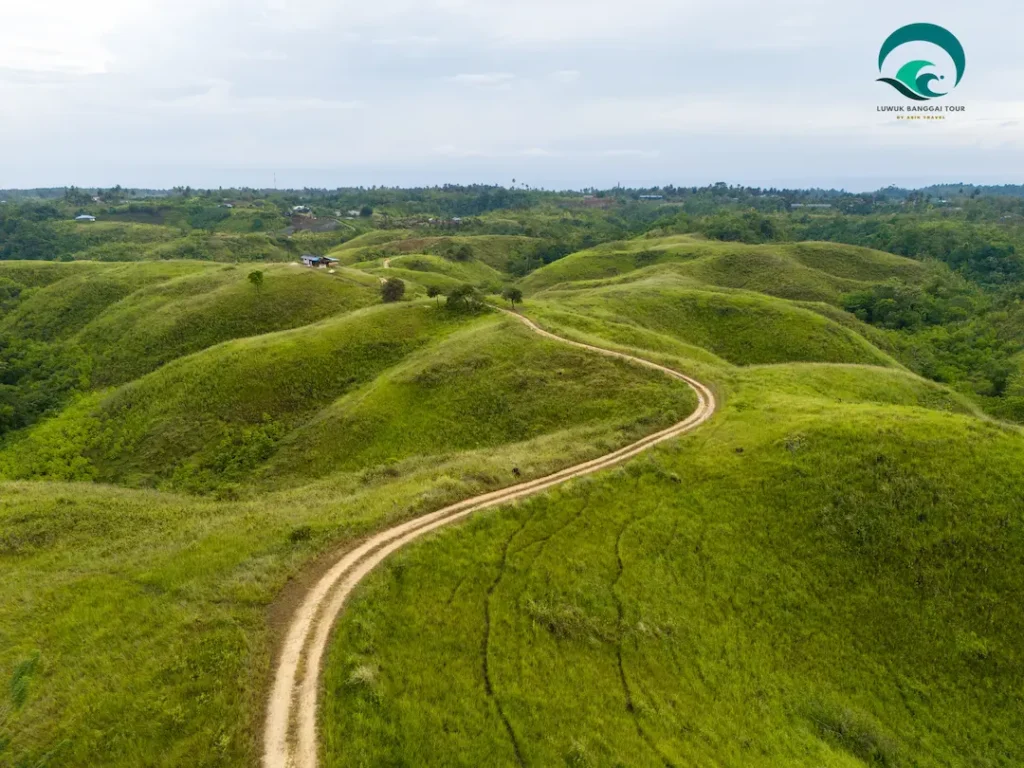 bukit teletubbies desa lumpoknyo luwuk banggai yang hijau luas