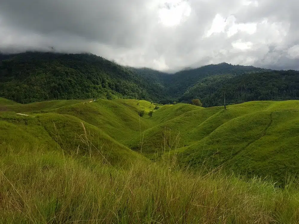 Rolling green landscape of Teletubbies Hill in Luwuk Banggai under a dramatic cloudy sky.