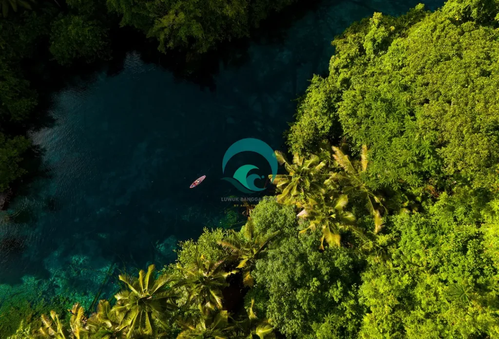 pemandangan udara danau biru jernih di tengah hutan lebat luwuk banggai