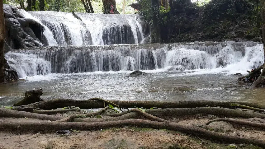 Multi-tiered Salodik Waterfall in Luwuk Banggai surrounded by lush tropical forest and natural tree roots.
