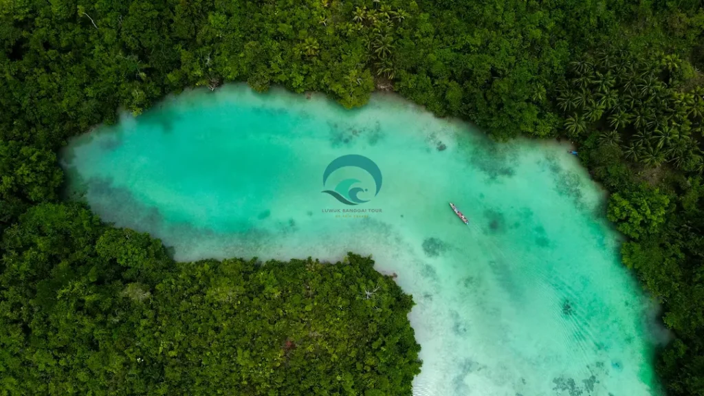 surga tersembunyi laguna air jernih di luwuk banggai sulawesi