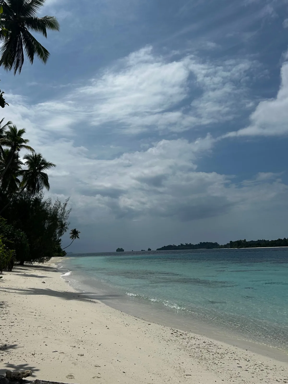 Pantai pasir putih yang sepi dengan pohon kelapa di bawah langit berawan, Kepulauan Banggai