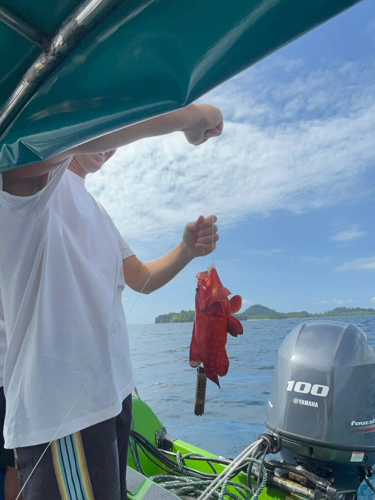 Awak perahu mengangkat ikan merah hasil pancingan di atas perahu bermesin, Kepulauan Banggai