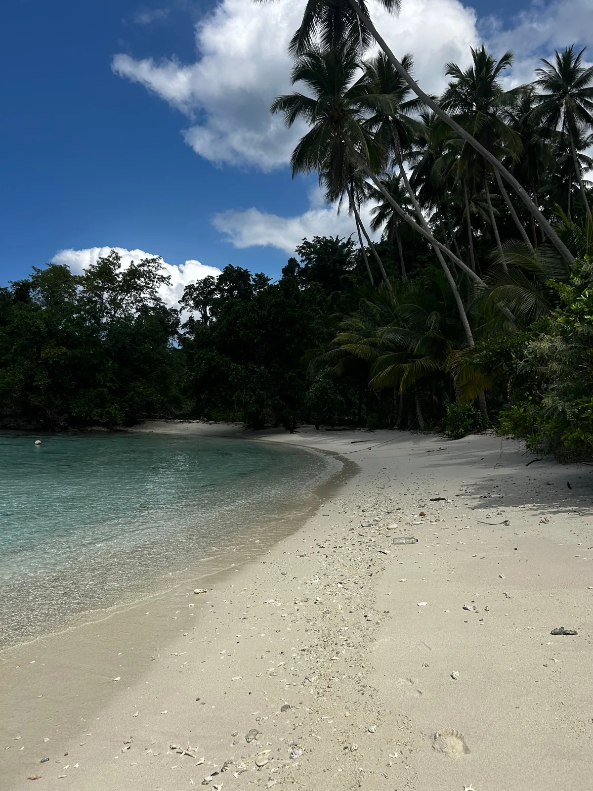 Pantai pasir putih melengkung dengan deretan kelapa tinggi dan air dangkal yang jernih, Kepulauan Banggai