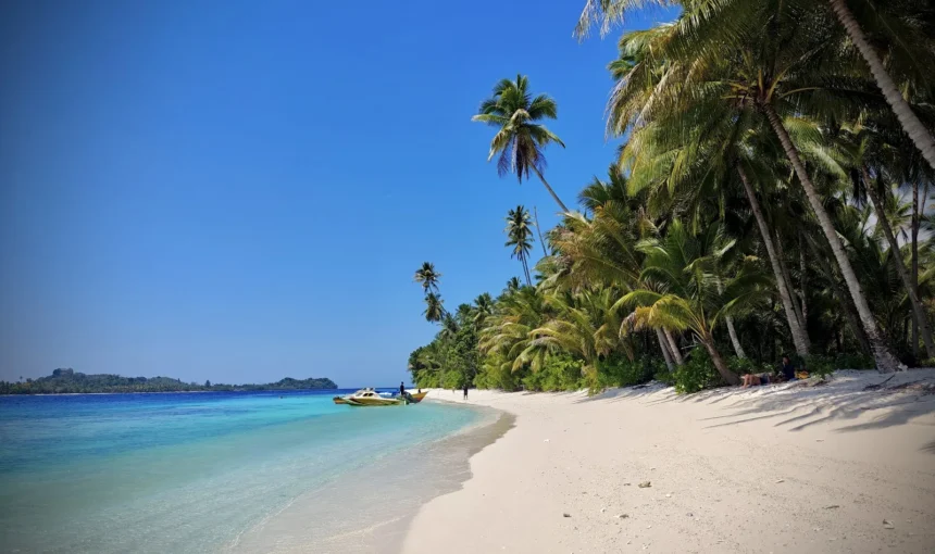 Budget îles Banggai 2026 : bateaux, chambres, circuits