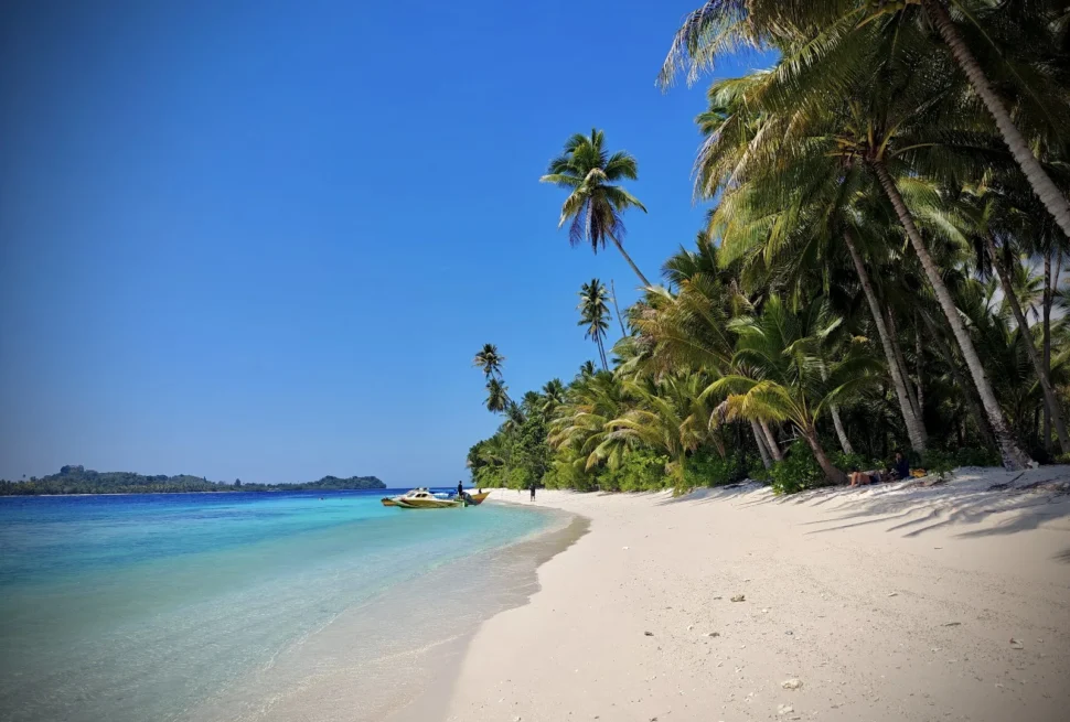 Palm-lined white-sand beach with clear turquoise water in the Banggai Islands