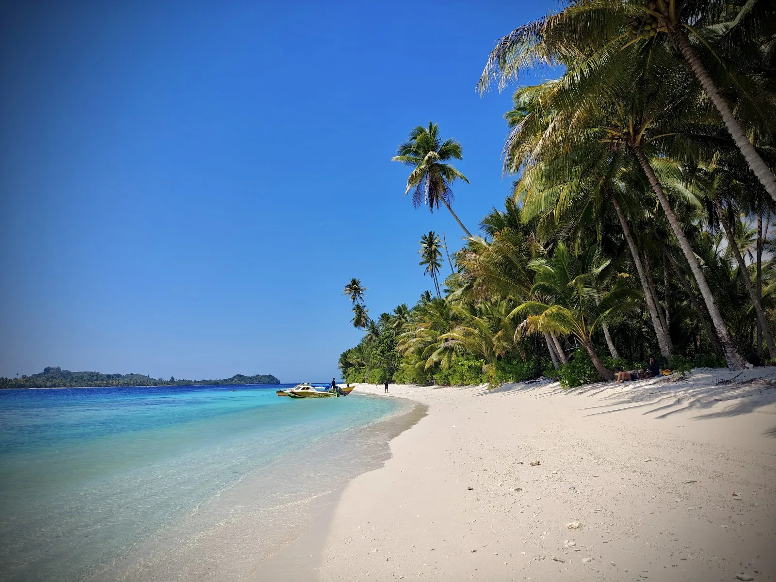 Palm-lined white-sand beach with clear turquoise water in the Banggai Islands