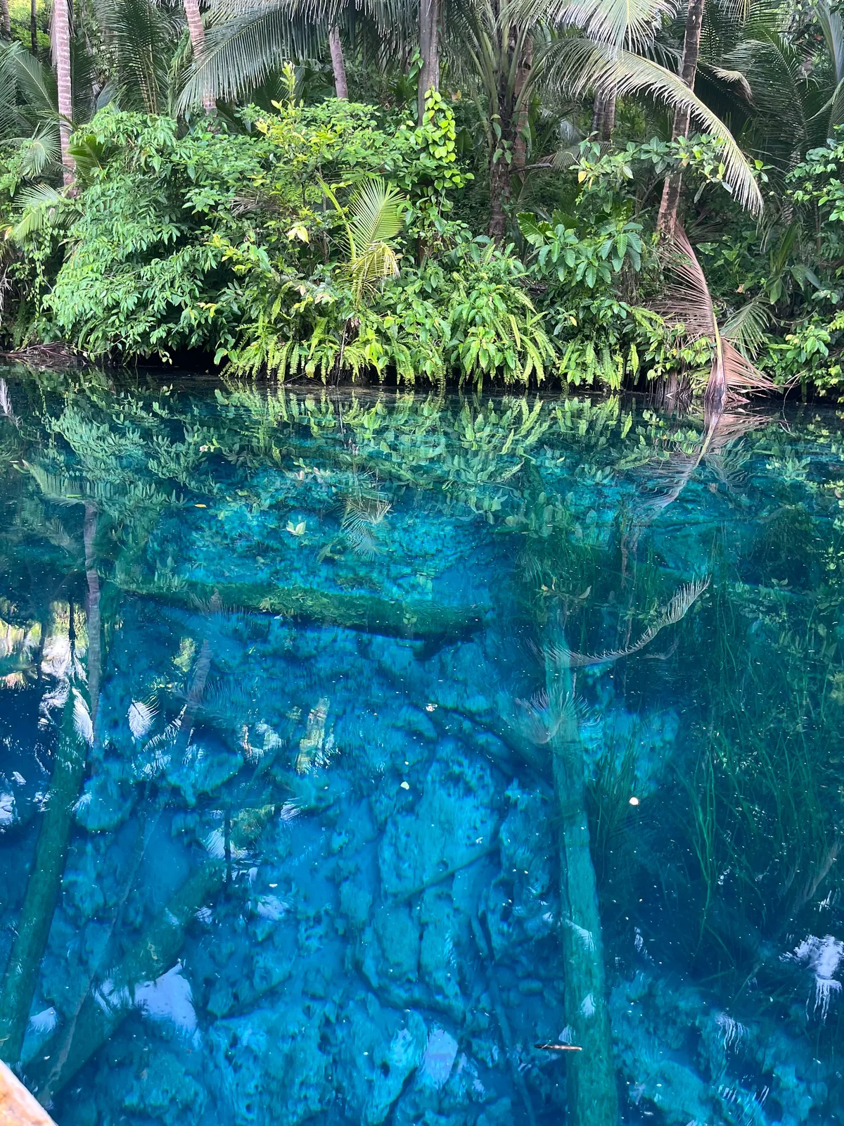 Air danau biru sebening kaca dengan batang kayu tenggelam dan pantulan hutan