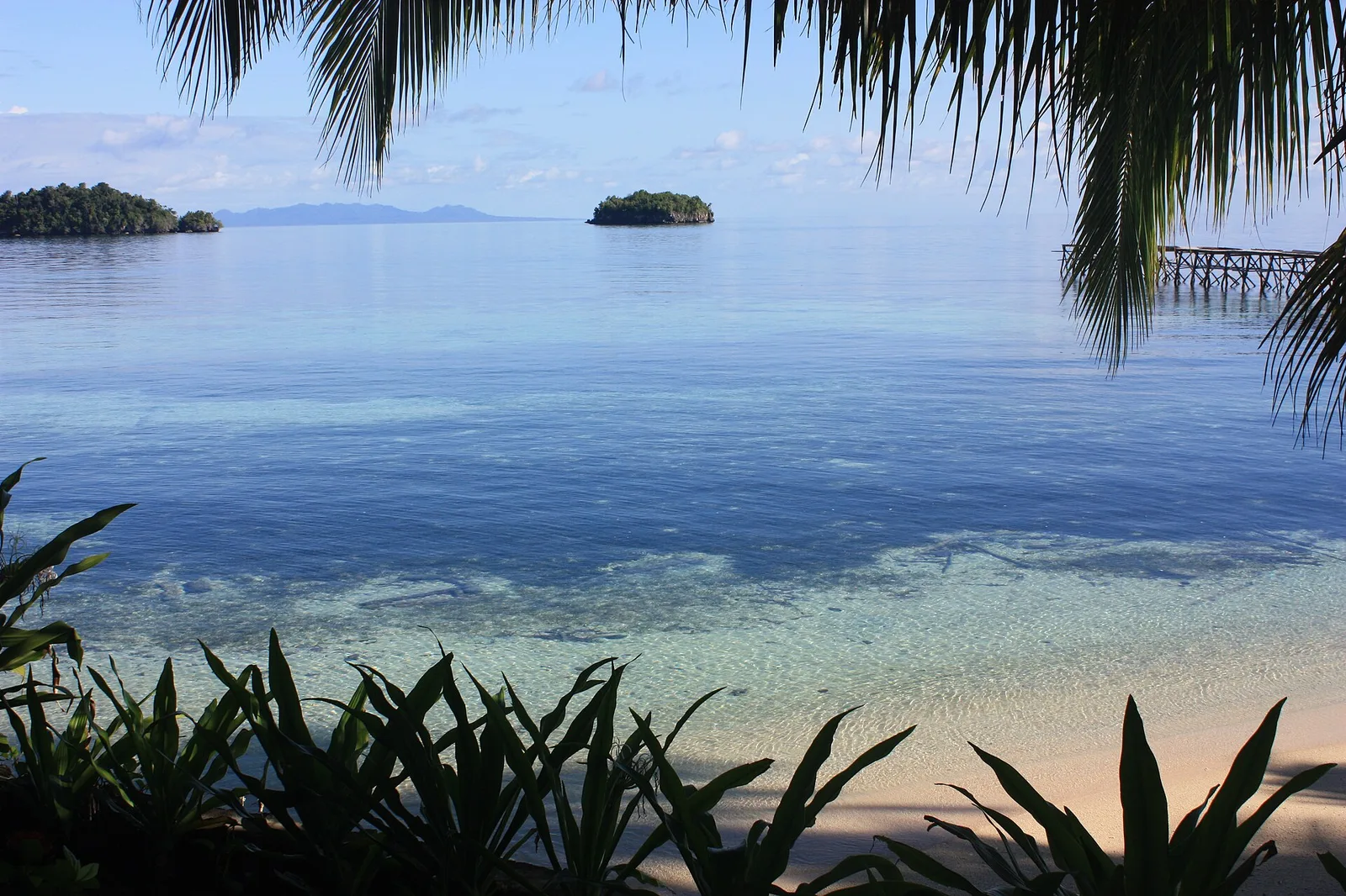 Calm morning sea and small islands seen from the shore of Kadidiri, Togian Islands