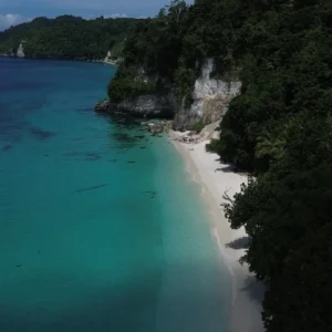 Pantai pasir putih panjang di bawah tebing kapur berhutan