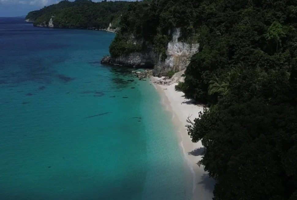 Pantai pasir putih panjang di bawah tebing kapur berhutan