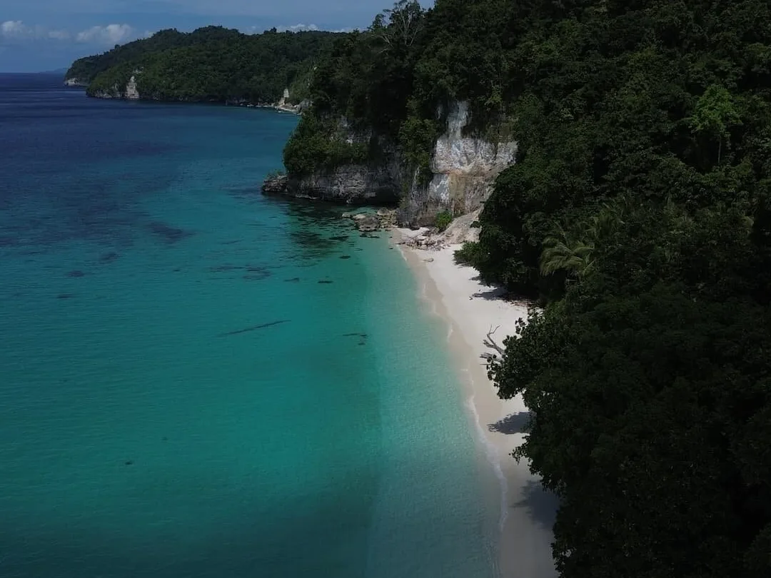 Pantai pasir putih panjang di bawah tebing kapur berhutan