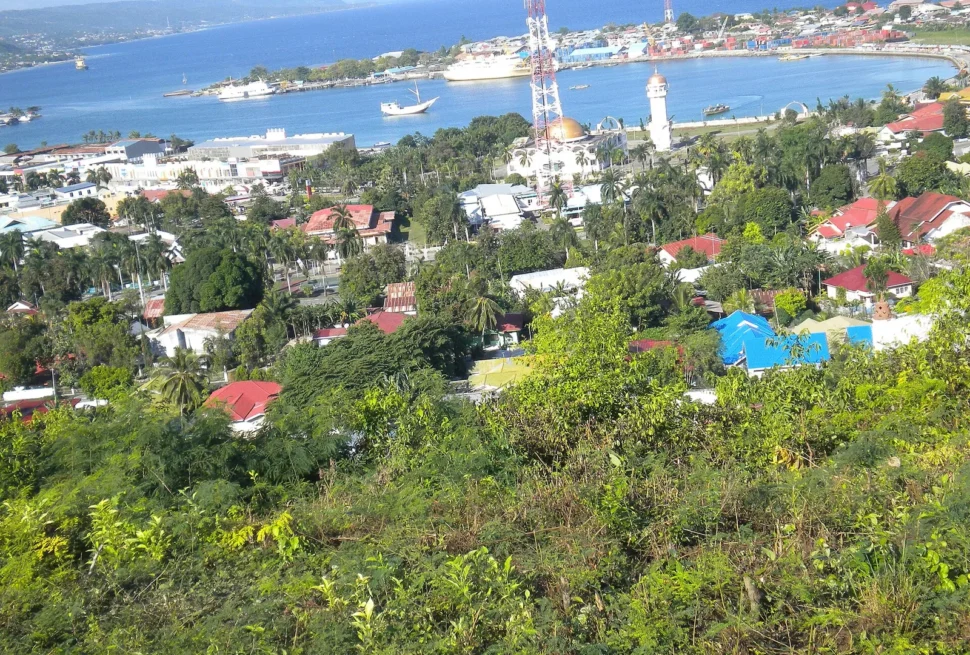 Pemandangan kota Luwuk, masjid, dan pelabuhan dari atas bukit