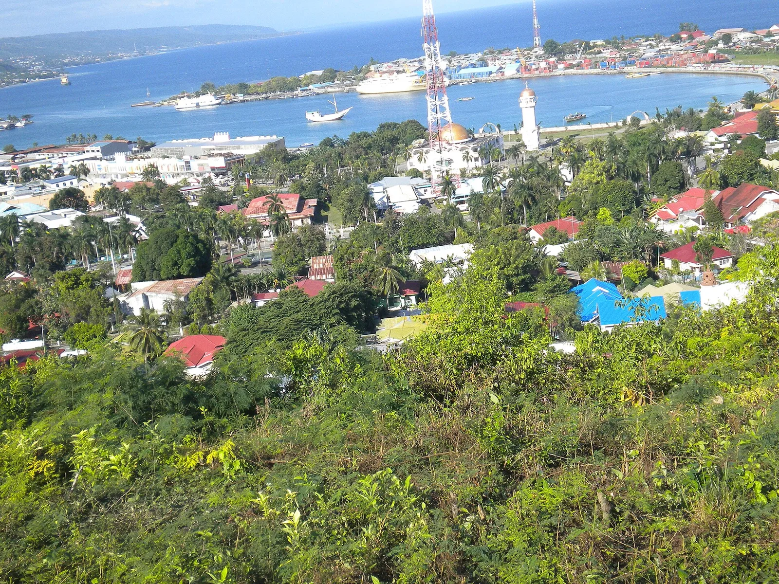 Pemandangan kota Luwuk, masjid, dan pelabuhan dari atas bukit