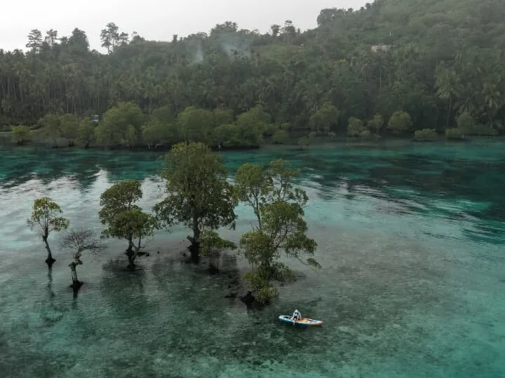 Pohon-pohon tumbuh di tengah danau berair jernih