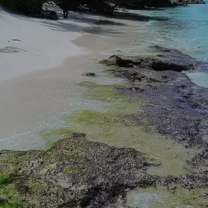 Pantai pasir putih dengan bebatuan karang di tepi air laut yang jernih