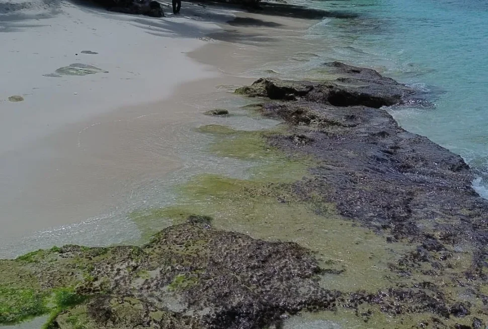 Pantai pasir putih dengan bebatuan karang di tepi air laut yang jernih