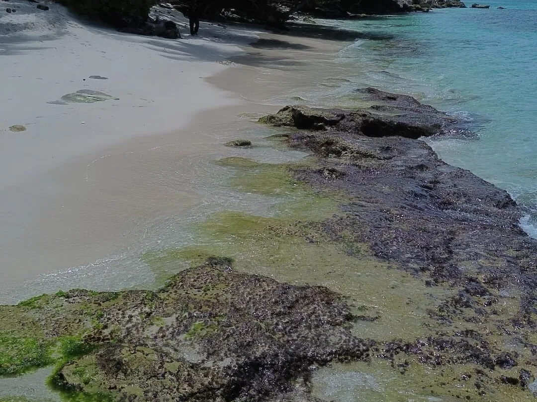 Pantai pasir putih dengan bebatuan karang di tepi air laut yang jernih
